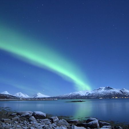 Вилла Aurora Harbour House Лёдинген Экстерьер фото