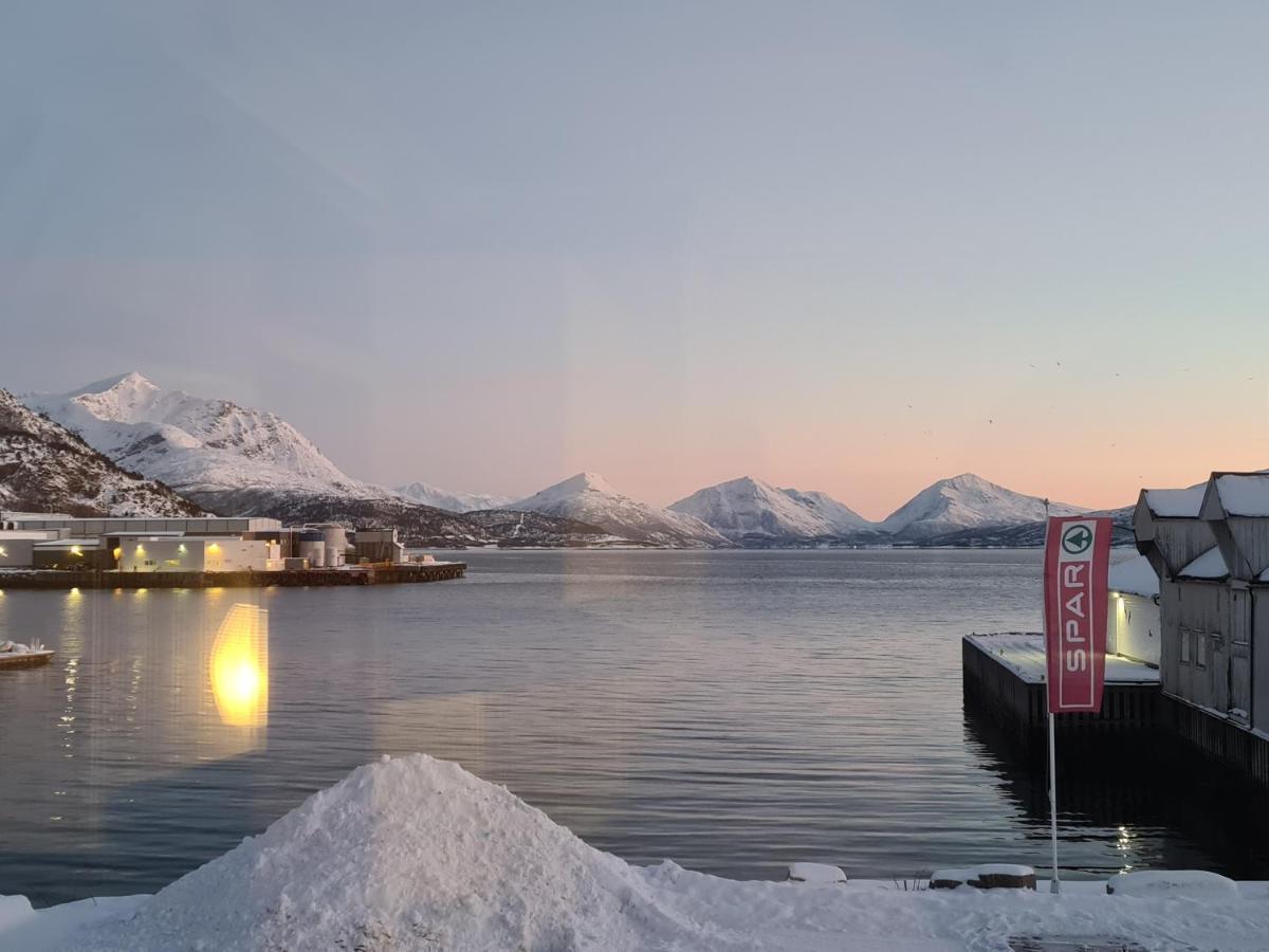 Вилла Aurora Harbour House Лёдинген Экстерьер фото
